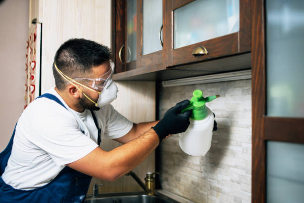 Best Pest Inspection Near Me  in Riverdale, IL