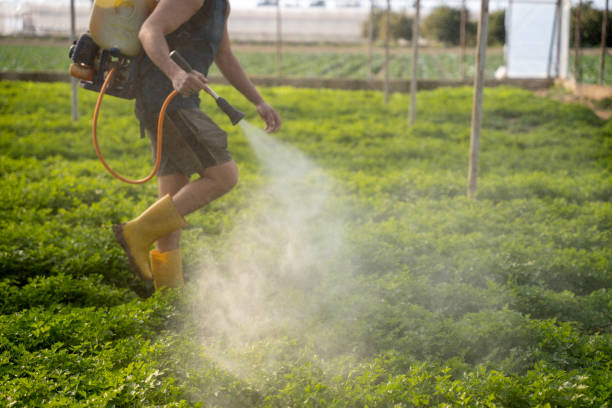 Best Insect Control  in Riverdale, IL