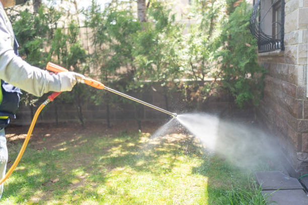 Best Termite Control Services  in Riverdale, IL