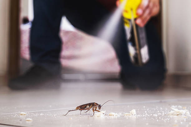Best Pest Inspection Near Me  in Riverdale, IL
