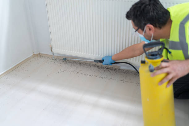Best Mosquito Control Services  in Riverdale, IL