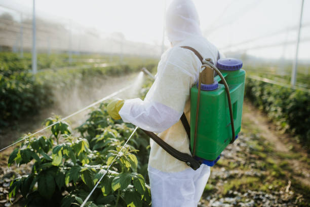 Best Bed Bug Extermination  in Riverdale, IL